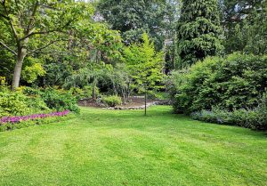 Optimiser l'expérience du jardin à Puiseux-Pontoise